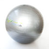 LighterLife exercise ball