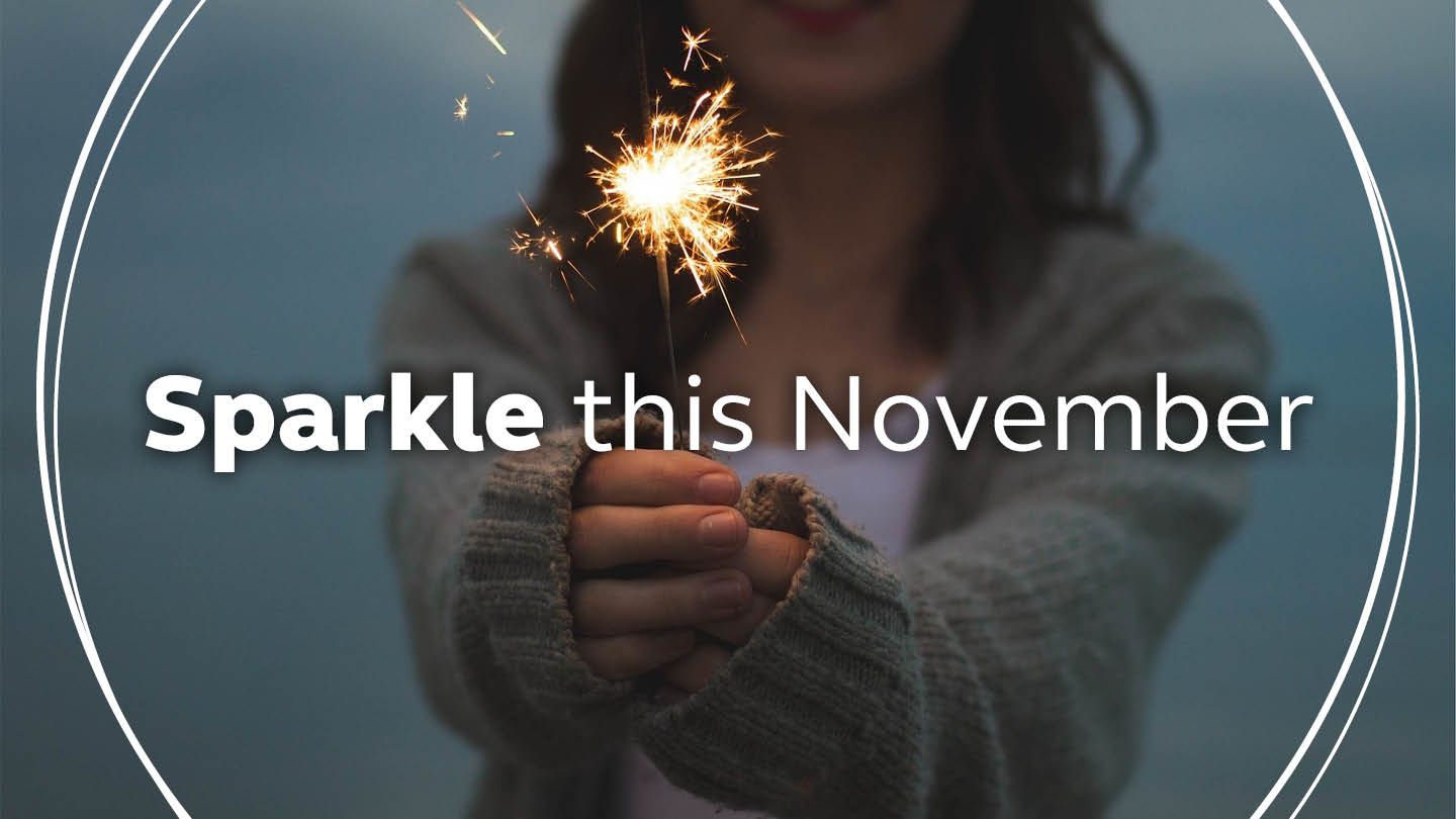Find your LighterLife Sparkle this November with our tasty meal options